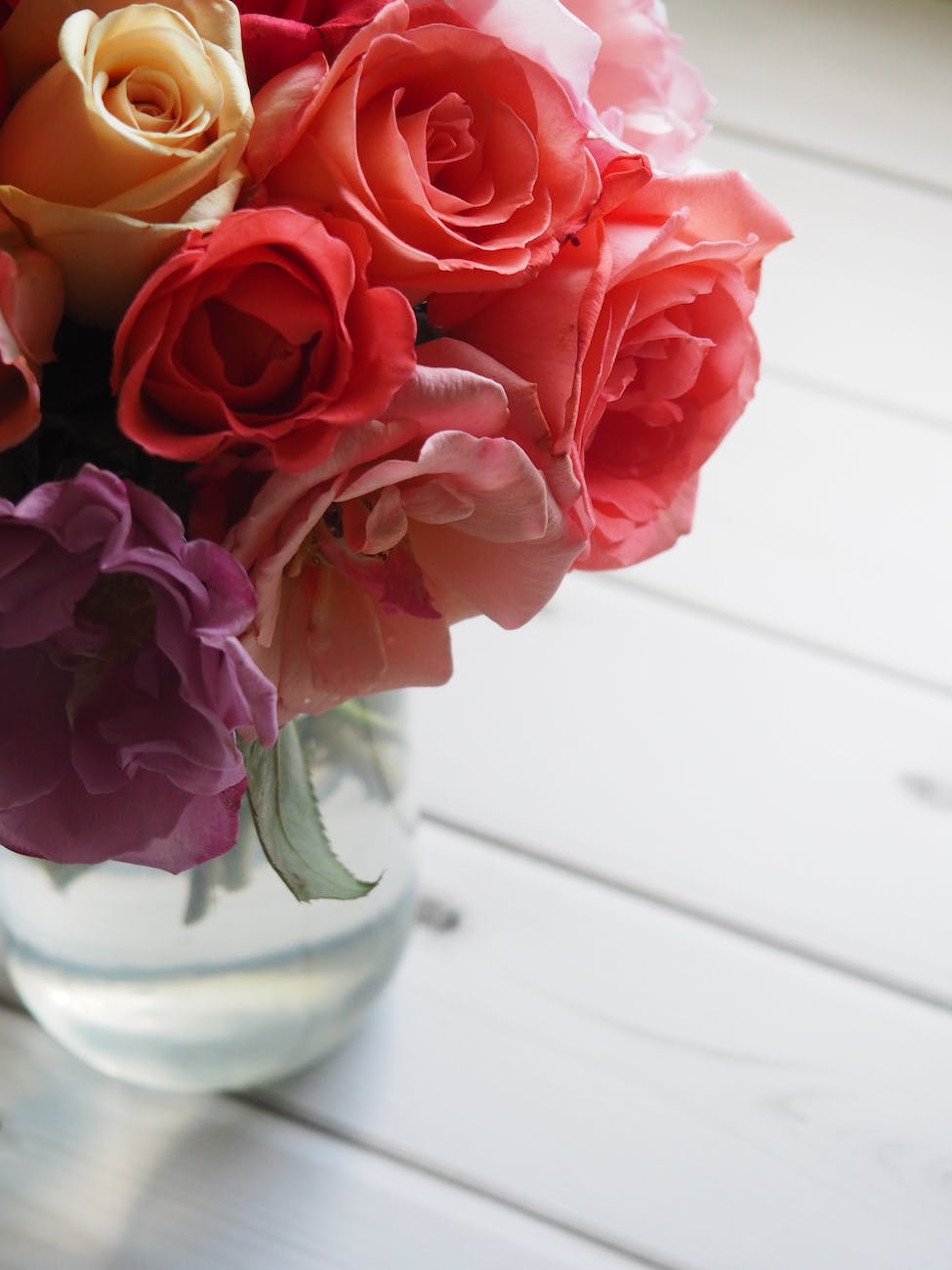 shallow focus of red and pink flowers